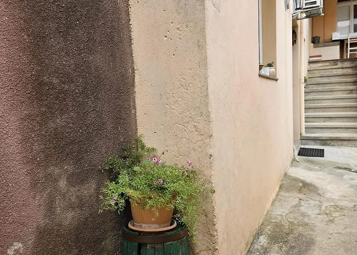 Porat Sali
